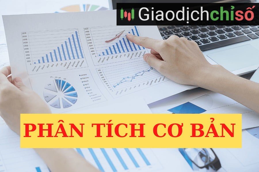 Phân tích cơ bản có ưu điểm nhưng cũng có hạn chế trader cần biết